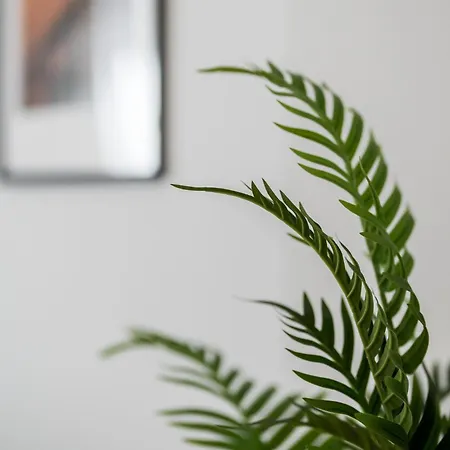 Oliva Apartment Thessaloniki
